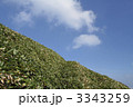 瓶ヶ森登山