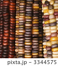 3344575