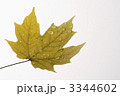 3344602