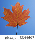 3344607