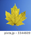3344609