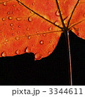 3344611
