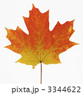3344622