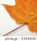 3344630