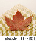 3344634