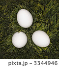 3344946