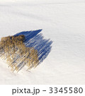 3345580