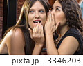 3346203