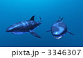 3346307