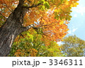 尾瀬国立公園　尾瀬の紅葉