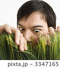 3347165