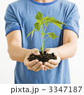 3347187