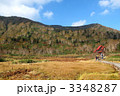 栂池自然園の紅葉