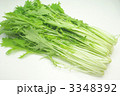 水菜