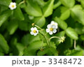 3348472