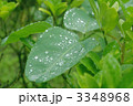3348968