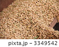 餅米