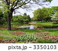 昭和記念公園の水辺