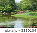 昭和記念公園の水辺