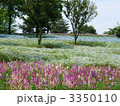 ５月の昭和記念公園