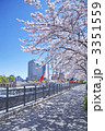 横浜みなとみらいの日本丸と桜