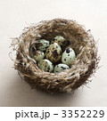 3352229