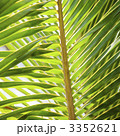3352621