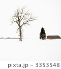 3353548