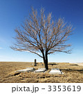 3353619