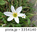 3354140