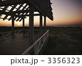 3356323