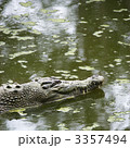3357494