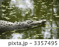 3357495