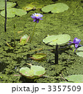 3357509