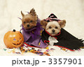ハロウィン