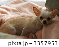 3357953