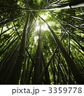 3359778