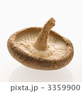 3359900