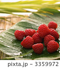 3359972