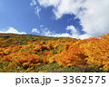 八幡平の紅葉