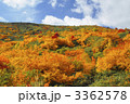 八幡平の紅葉