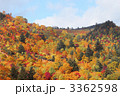 八幡平の紅葉