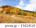 八幡平の紅葉