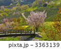 花の里山