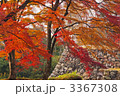 奈良高城城跡の紅葉