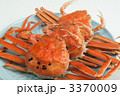 ズワイガニのメス