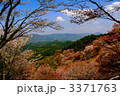 吉野山千本桜