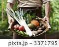 野菜盛り