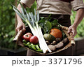野菜盛り 2