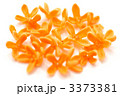 秋の香りのキンモクセイの花。
